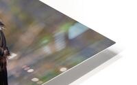 Stretch HD Metal print
