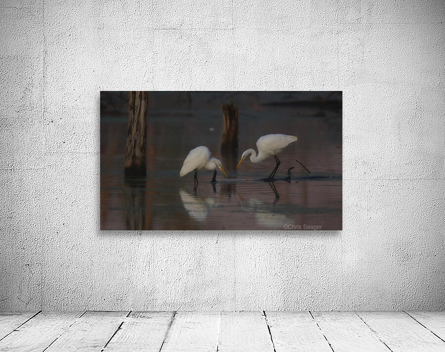 Great Egrets Wall Preview