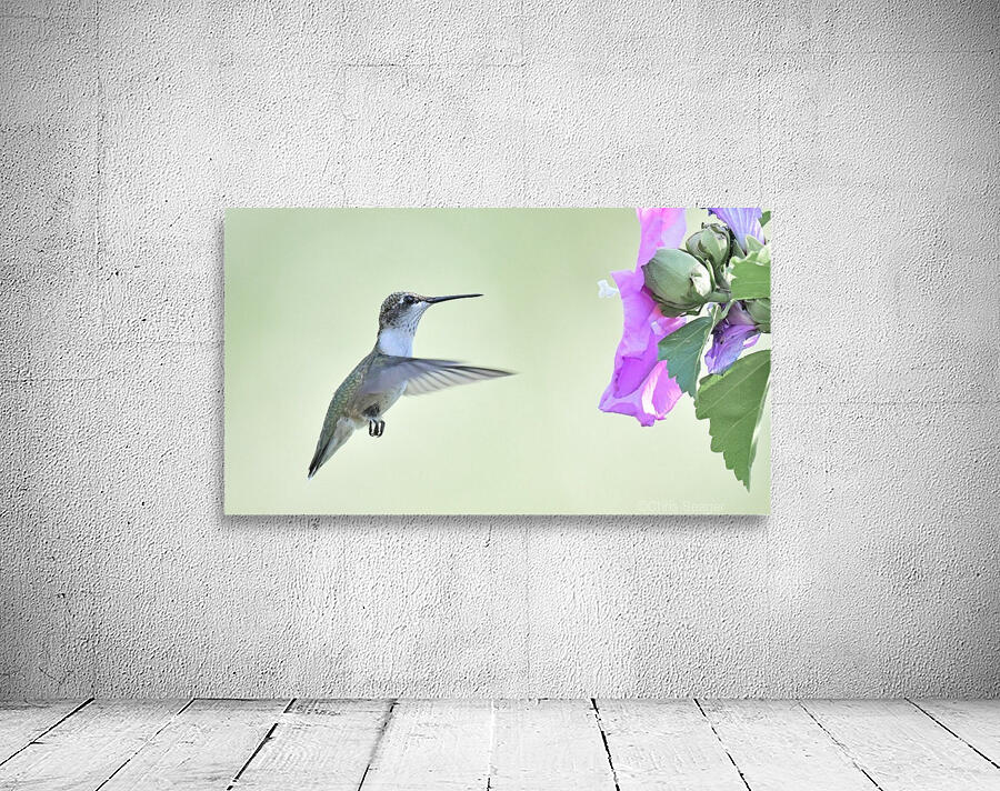 Hummer Wall Preview