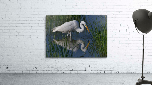Egret Reflecting  Wall Preview
