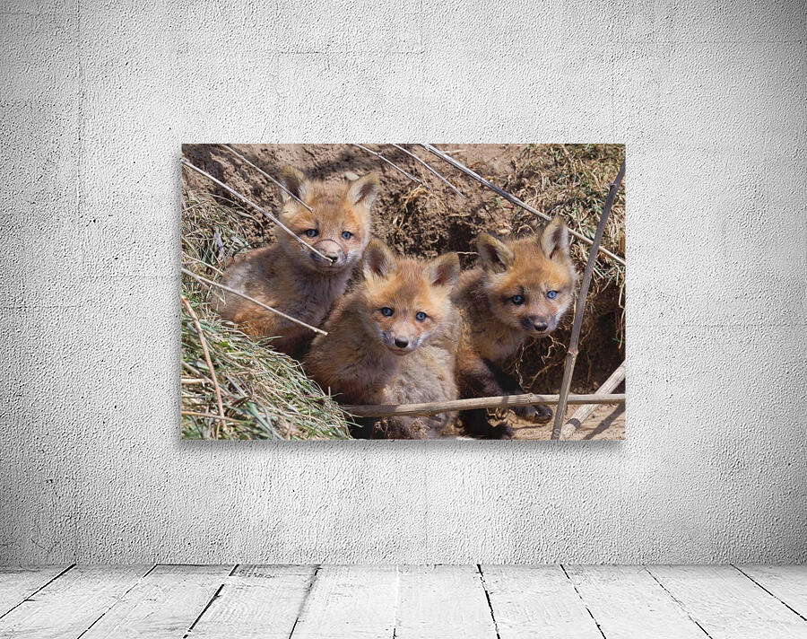 Threes a crowd  Wall Preview