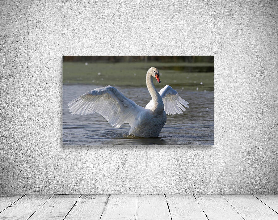 Swan Song Wall Preview