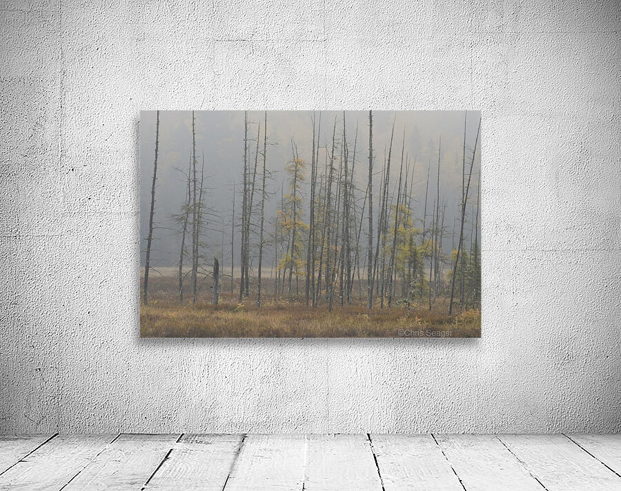 Misty Morning Wall Preview