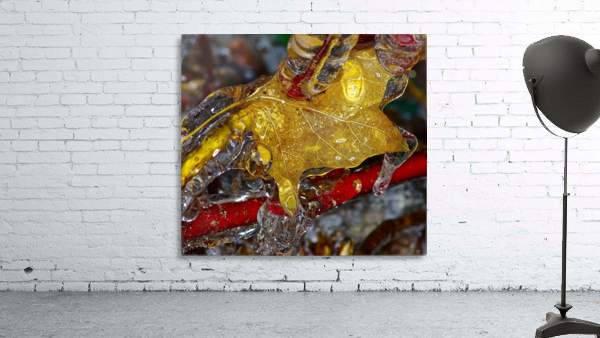 Ice Leaf Wall Preview