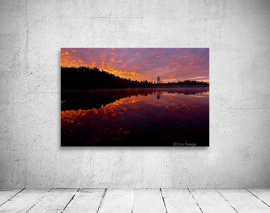 Algonquin sunrise Wall Preview