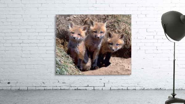 Triplets Wall Preview