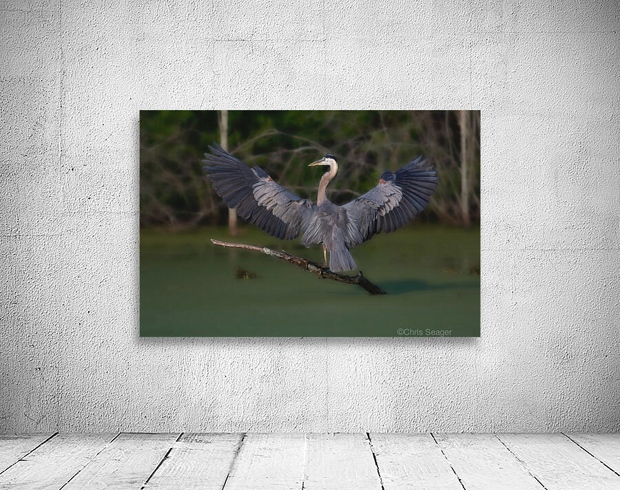 HeronWings Wall Preview