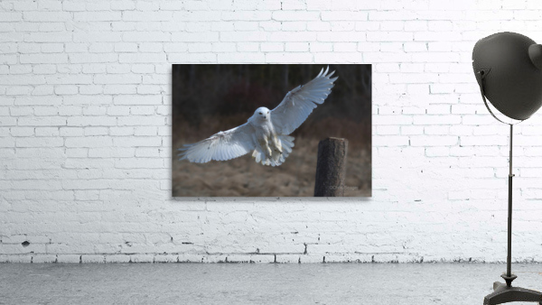 Snowy Landing Wall Preview