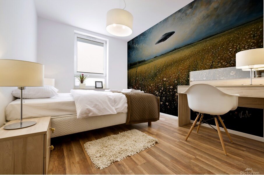Saucer 1 Mural print