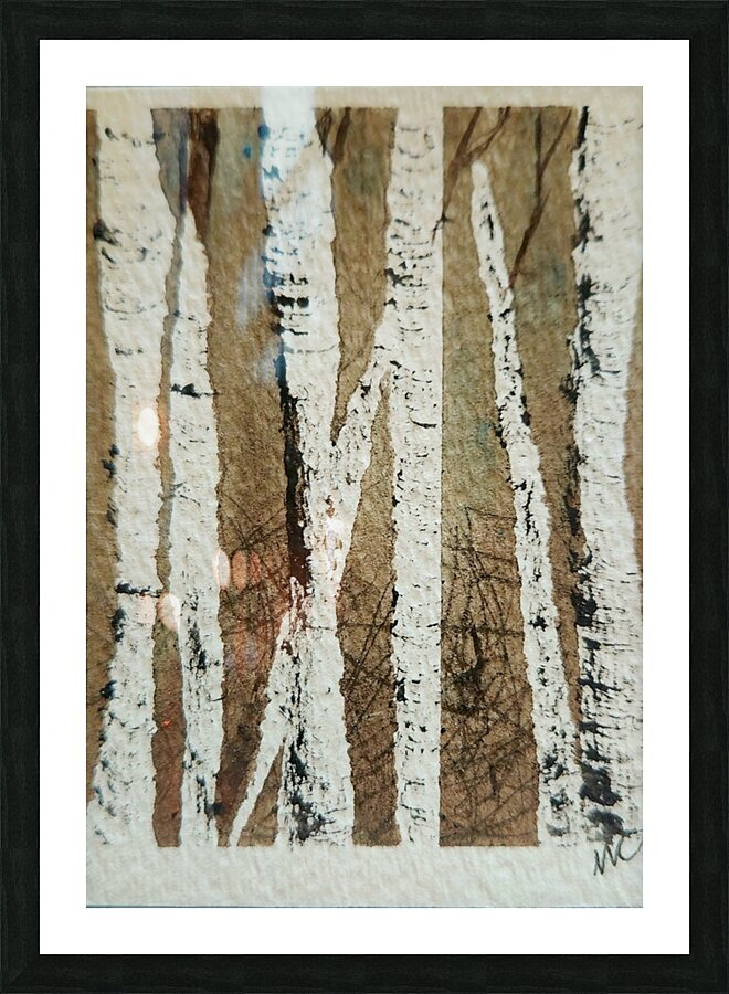Birch Trees 6 Picture Frame print