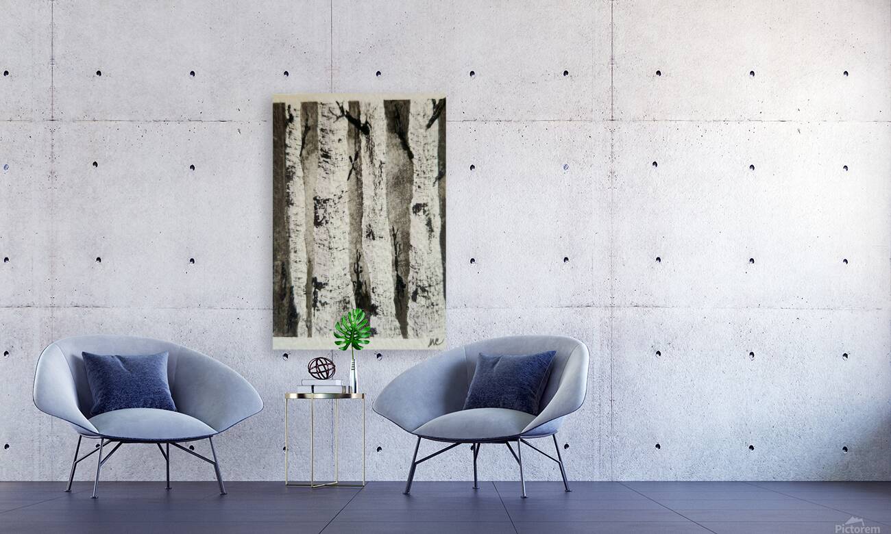Birch Trees 5 Reproduction