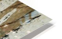 Birch Trees 6 HD Metal print
