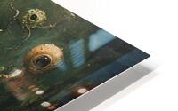 1000016987 HD Metal print