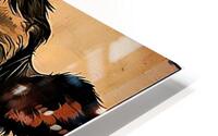 Black Cow HD Metal print