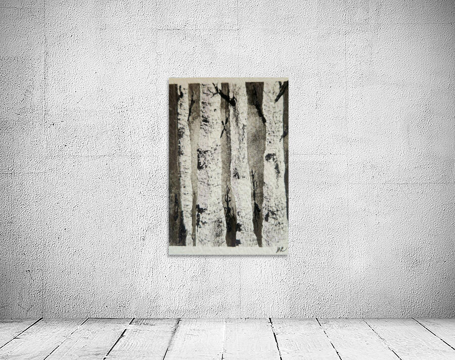 Birch Trees 5 Wall Preview