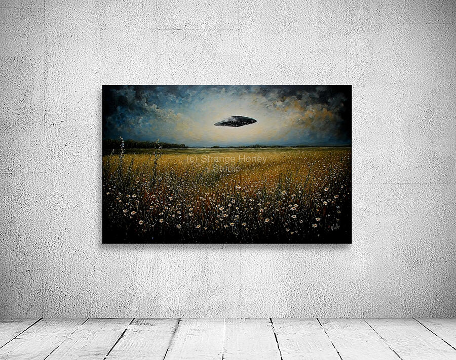 Saucer 1 Wall Preview