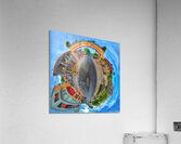 174C Rincon PR Acrylic Print