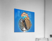341 Fin tastic Acrylic Print