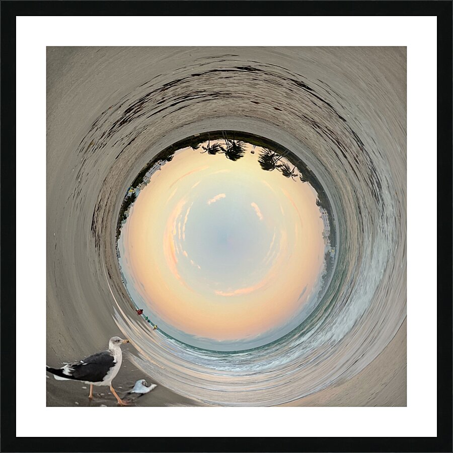 146 Birds Eye View Picture Frame print