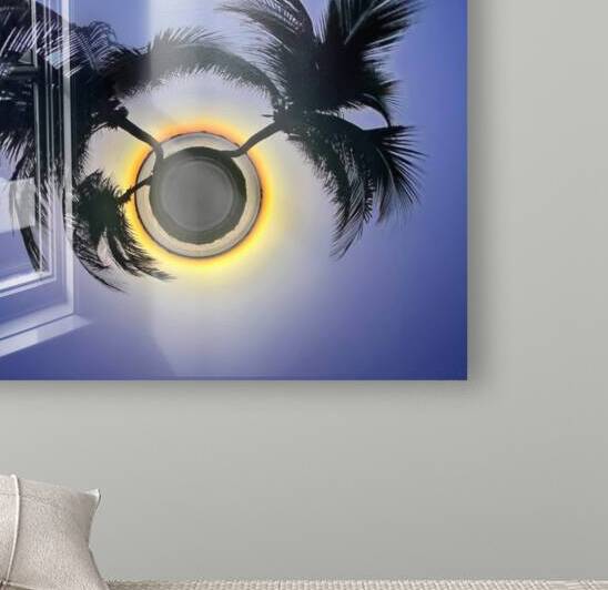 366 Palm Sunset Glow by ec360view