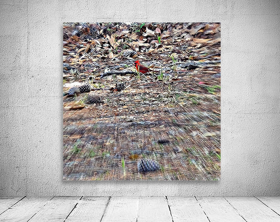 Red Bird  Wall Preview