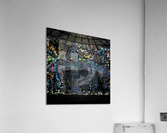 Euphoria 8 Acrylic Print