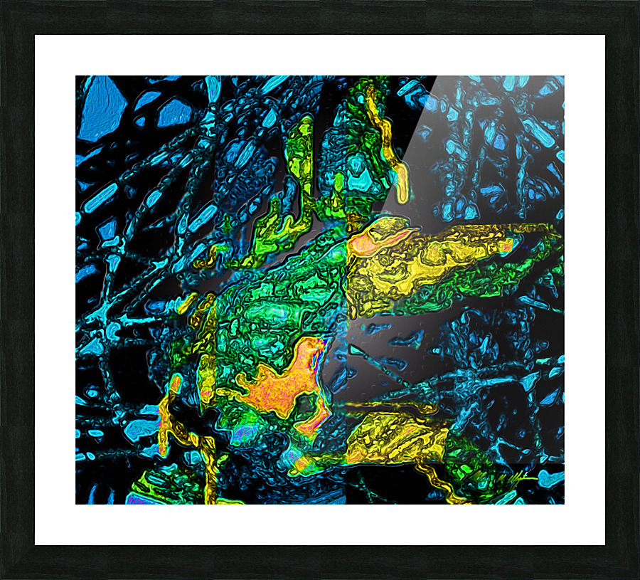 Tangled Transformation 4 Picture Frame print