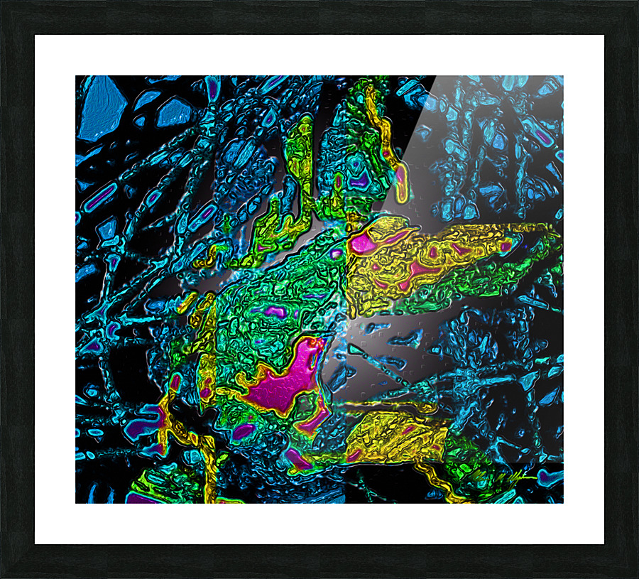 Tangled Transformation 5 Picture Frame print