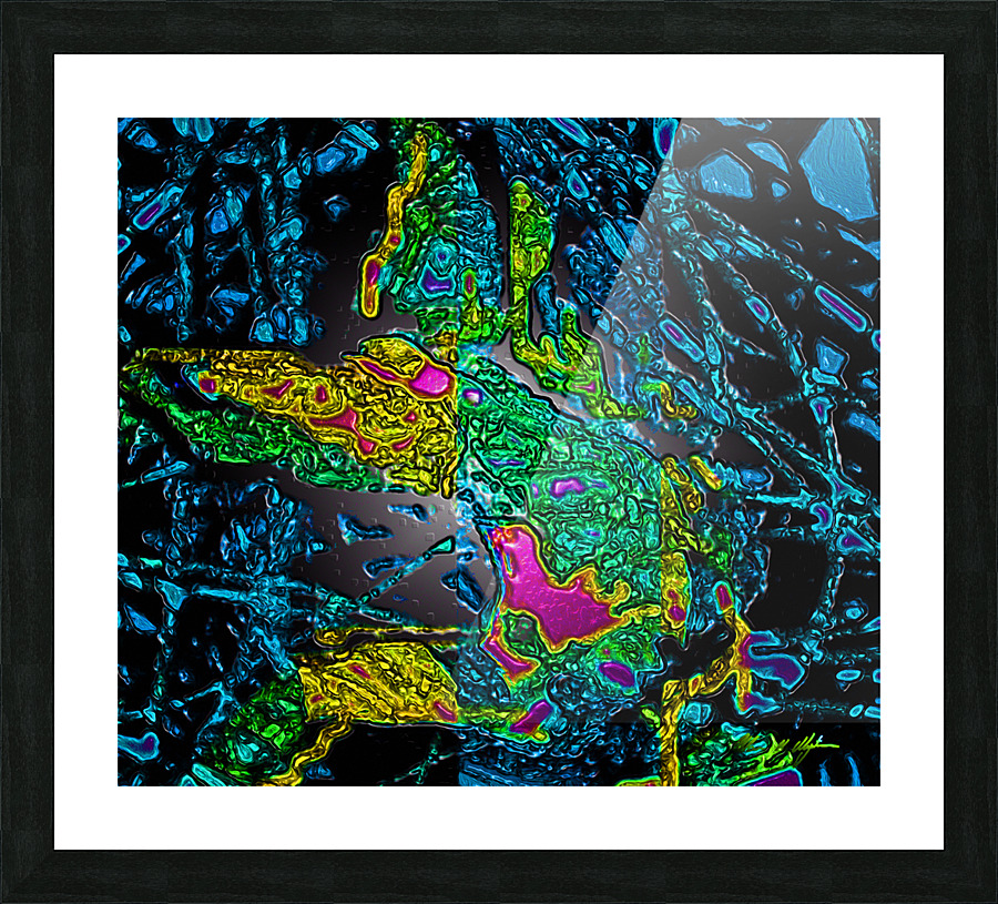 Tangled Transformation 6 Picture Frame print