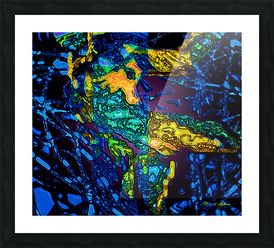 Tangled Transformation 3 Picture Frame print