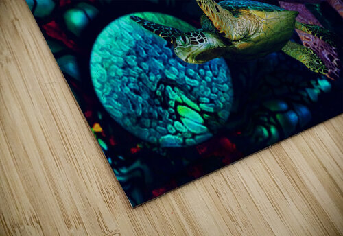 Turtles en Saison 4 Aldane Wynter puzzle