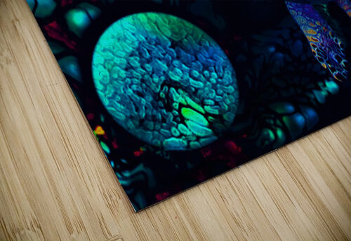 Turtles en Saison 2 Aldane Wynter puzzle