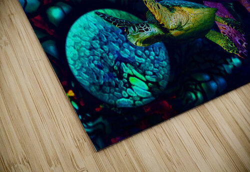 Turtles en Saison 6 Aldane Wynter puzzle