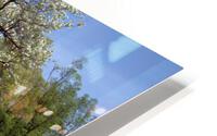 Arlington Cemetery HD Metal print