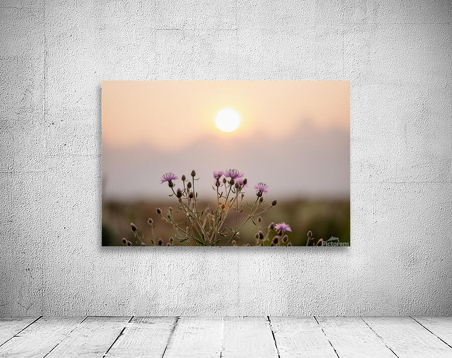 Wildflowers & Wildfires Wall Preview