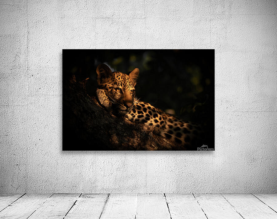 In the Tree Tops Wall Preview