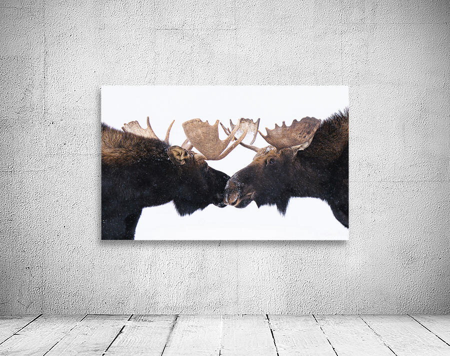 Snowy Greetings Wall Preview