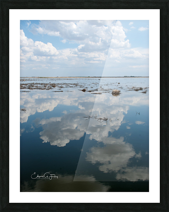 Summer Reflections Picture Frame print