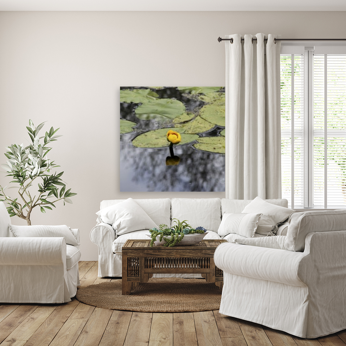 Water Lily Reproduction