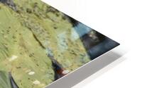 Water Lily HD Metal print