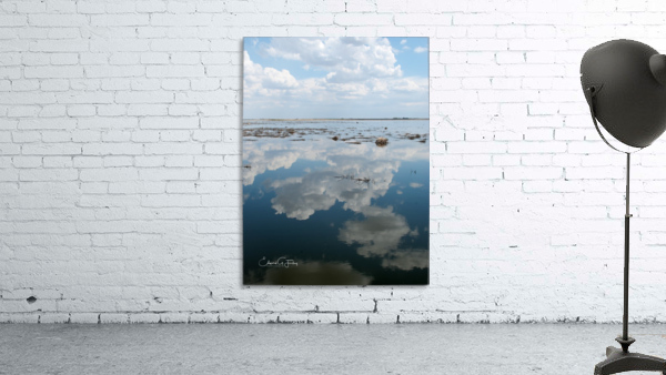 Summer Reflections Wall Preview