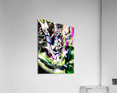 DYLAN SEX2 Acrylic Print