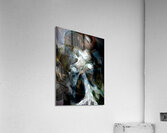 bird 2 Acrylic Print