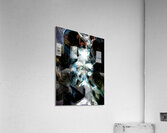 bird tits Acrylic Print