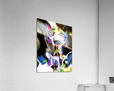 digi10cropped Acrylic Print