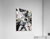 MASTER2 Acrylic Print