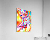 POSA Acrylic Print