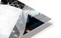 t  a r a HD Metal print