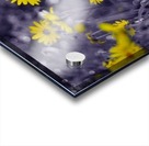 Still yellow Acrylic print