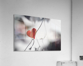 Red heart shaped leaf Acrylic Print